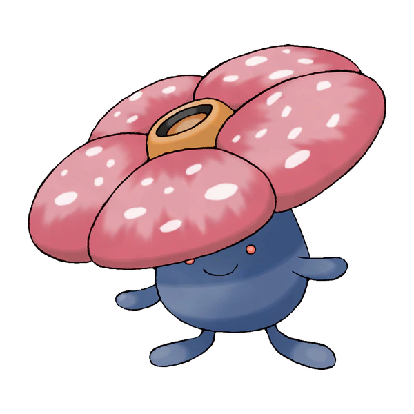 Rafflesia