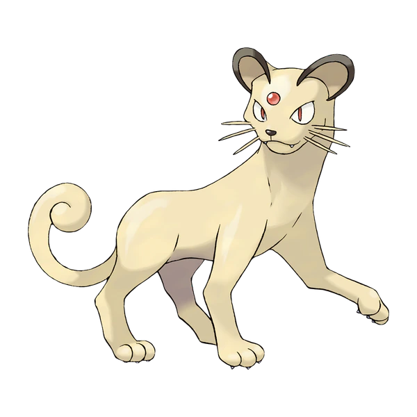 Página para colorear Persian