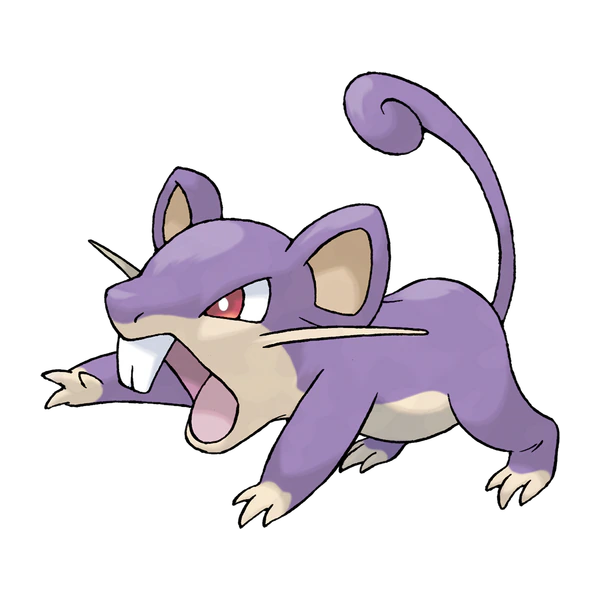Coloriage Rattata